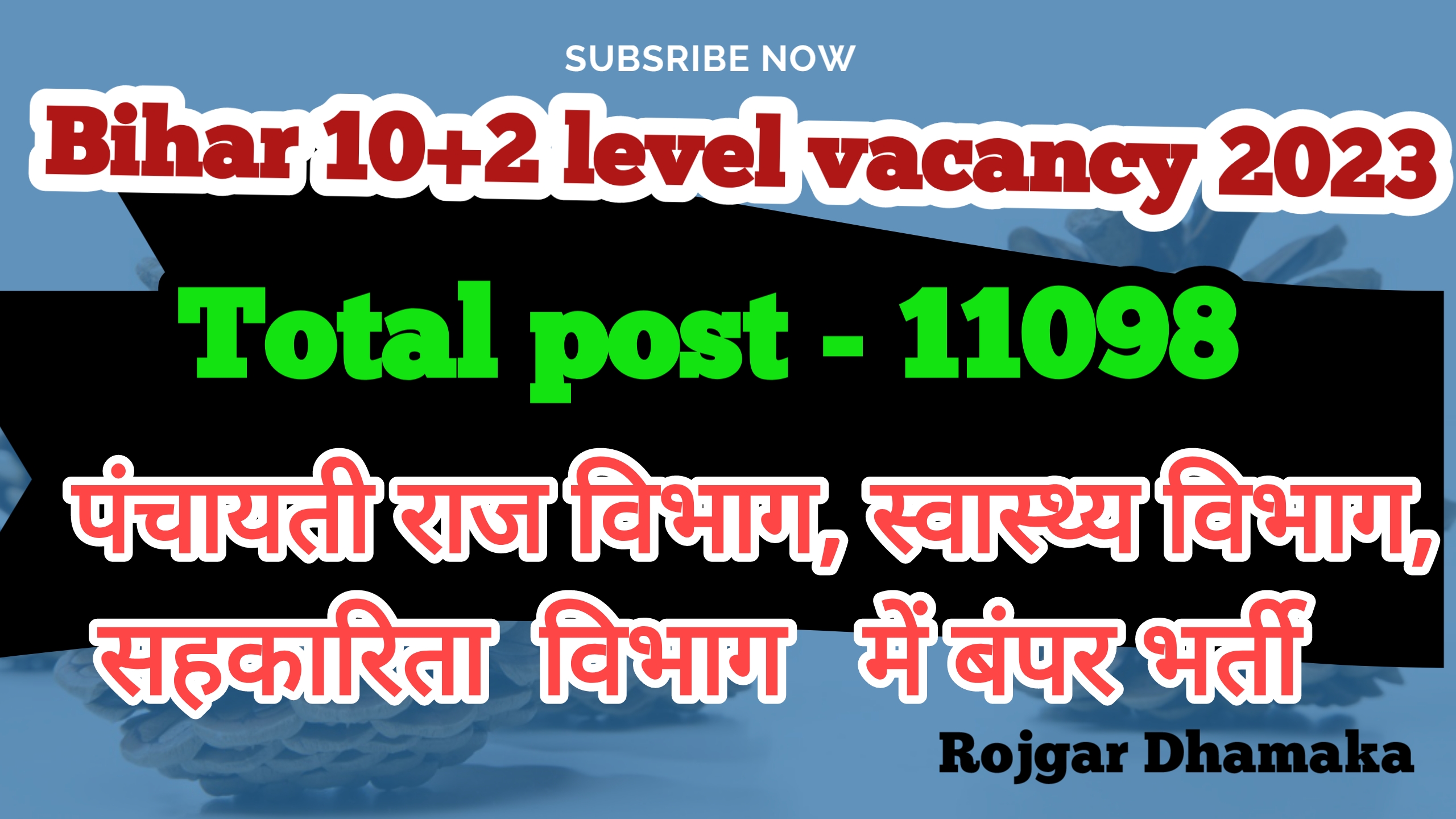 Bihar 10+2 Panchayat Sachiv Online Form 2023