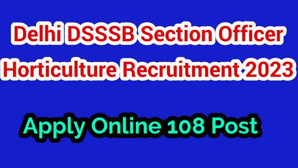 Delhi DSSSB Section Officer Bharti 2023