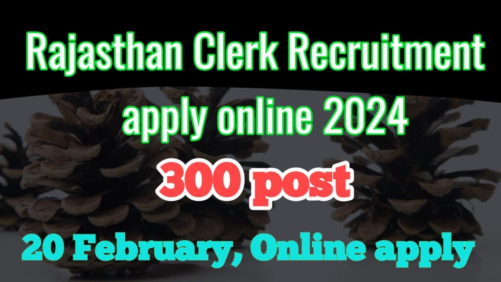 Rajasthan Clerk Recruitment Online Form 2024